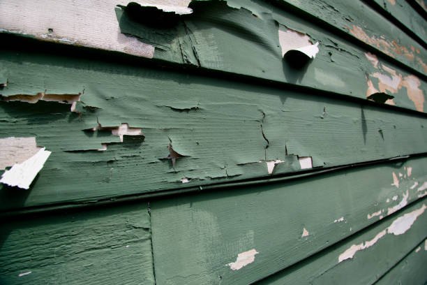 Best Same-Day Junk Removal Services  in Elm City, NC